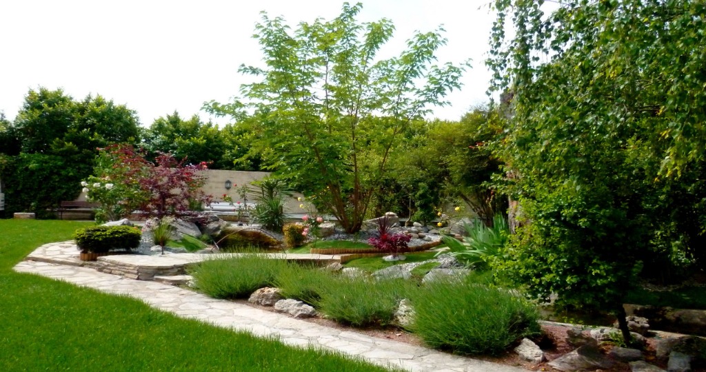 photo cabinet Laurence Vacheresse