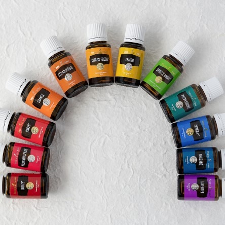 photo activite Séverine SIBILLE