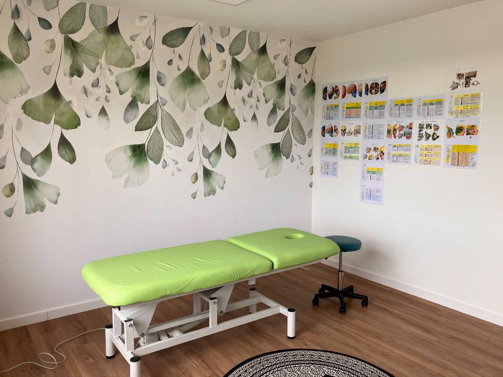 photo cabinet Émilie Barré