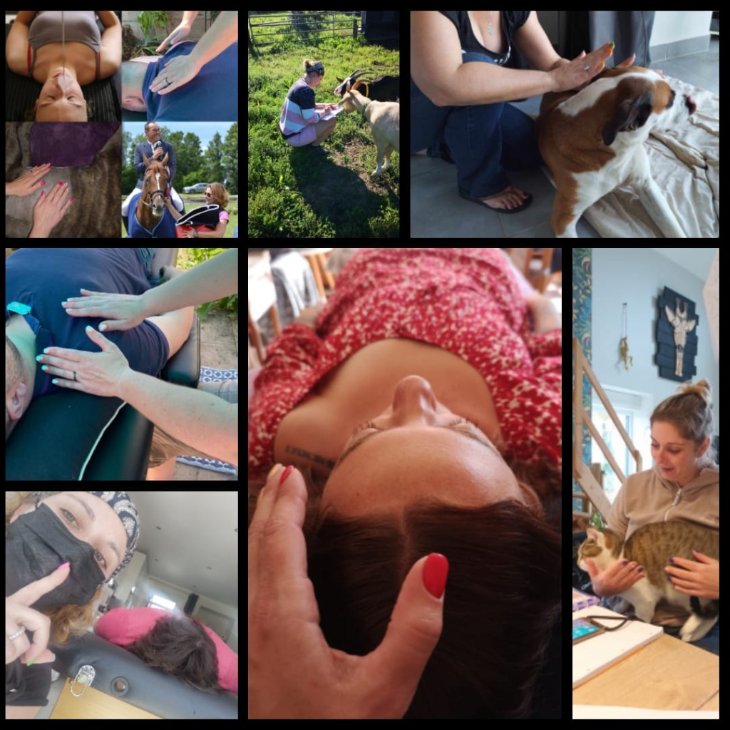 photo cabinet PASCALE CIROU