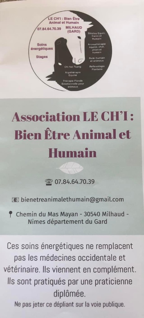 photo seance Le Ch’i