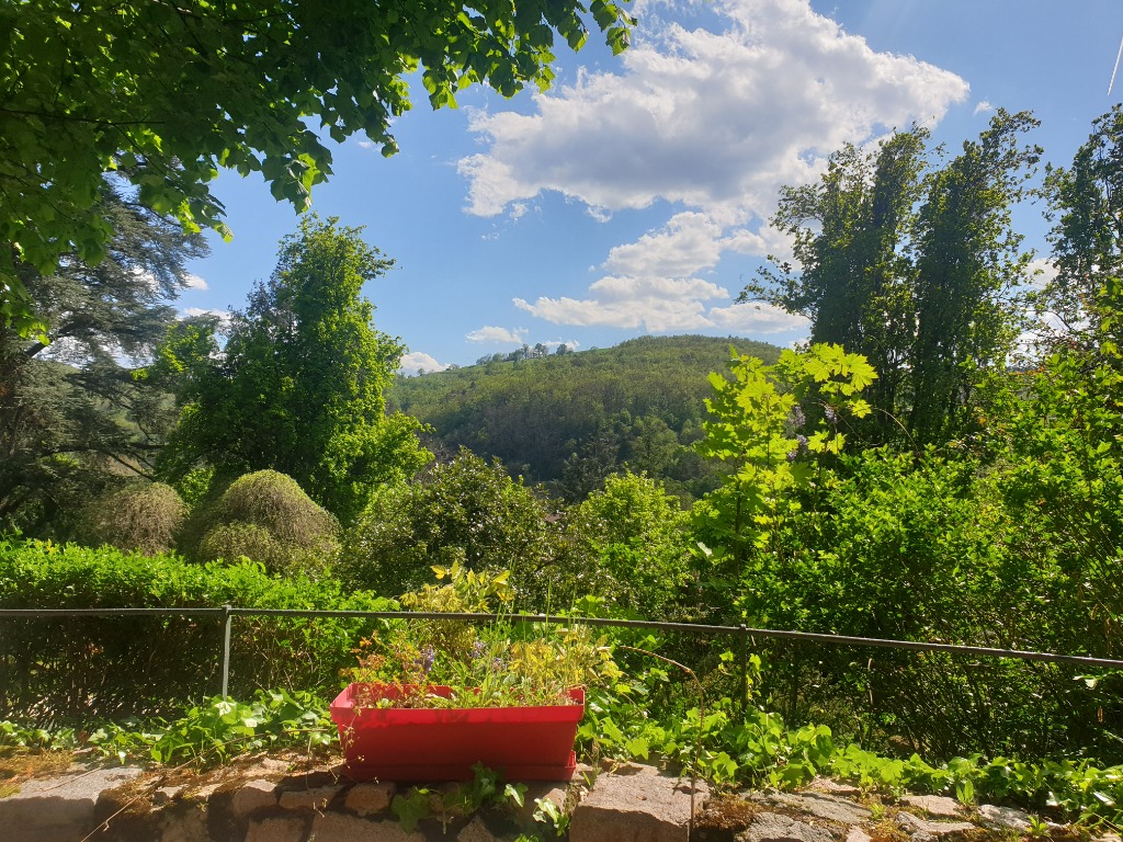 photo activite Frederic DUGAT FREDERIC DUGAT