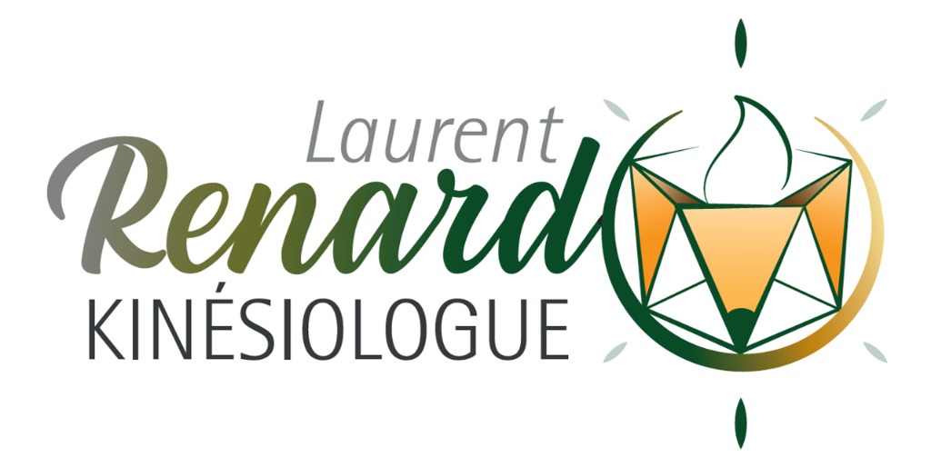 photo activite Laurent RENARD 