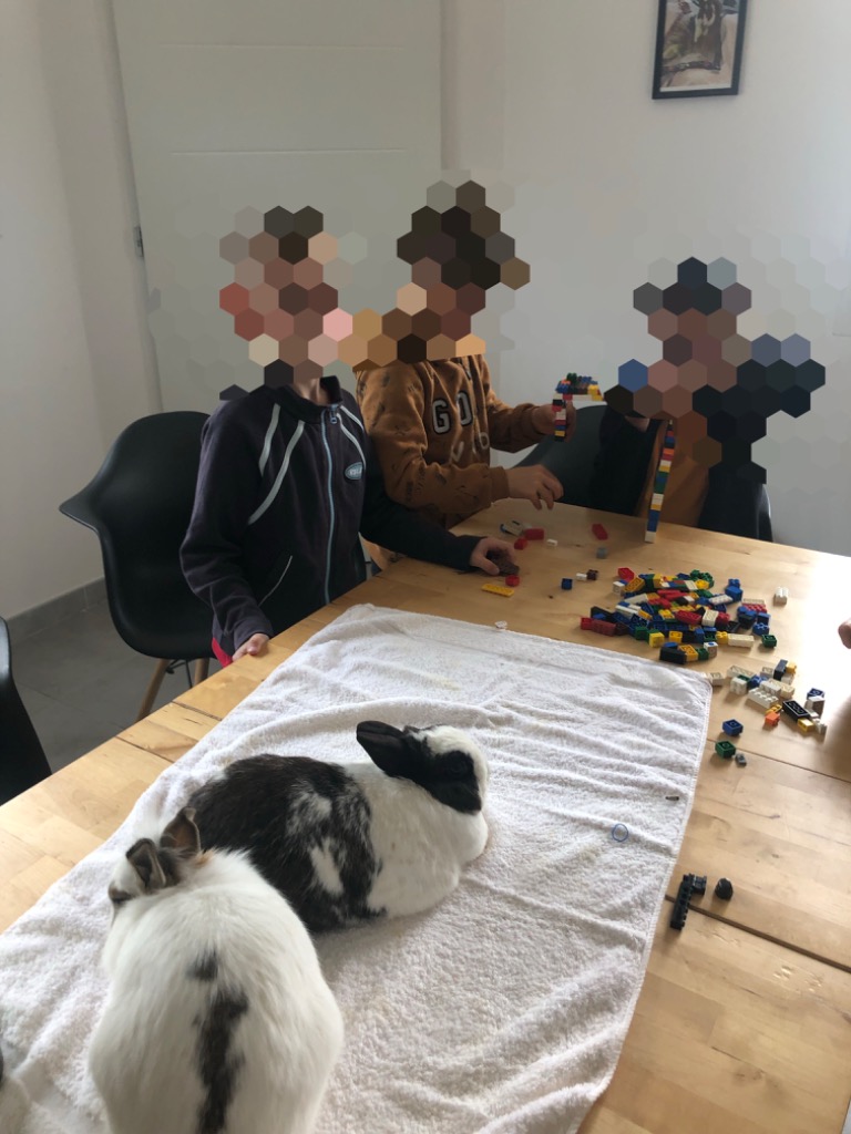 photo activite Pascale Boureau