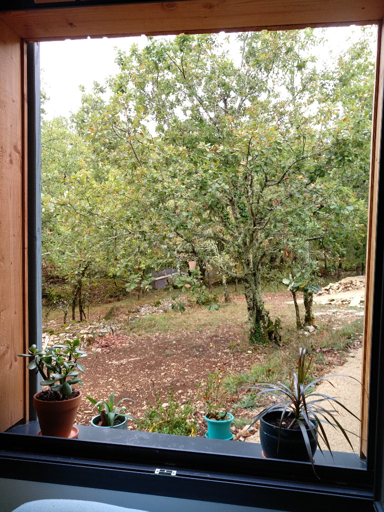 photo activite Chantal Anders