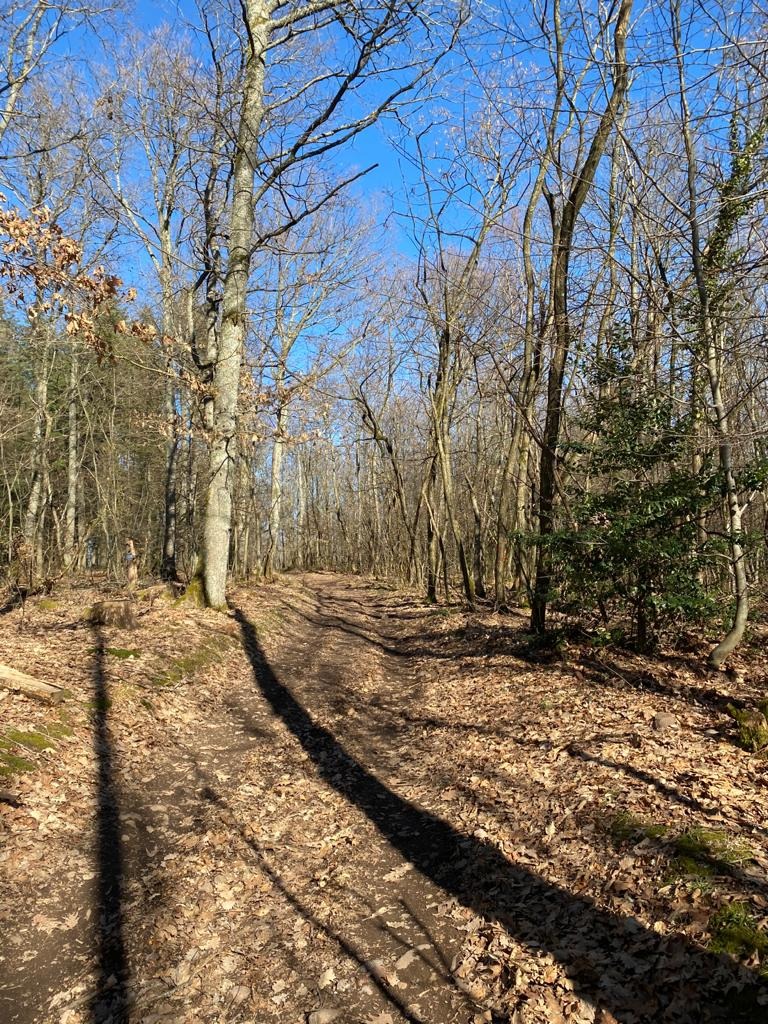 photo activite Peggy Luthringer