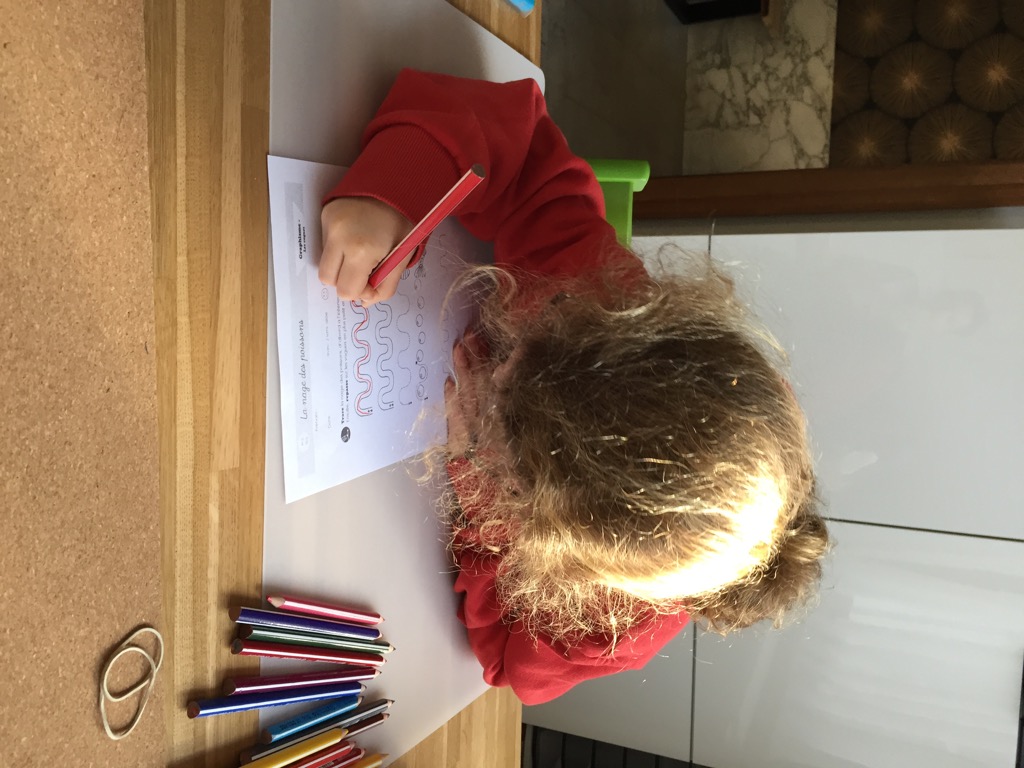 photo portrait Dominique BOULANGER