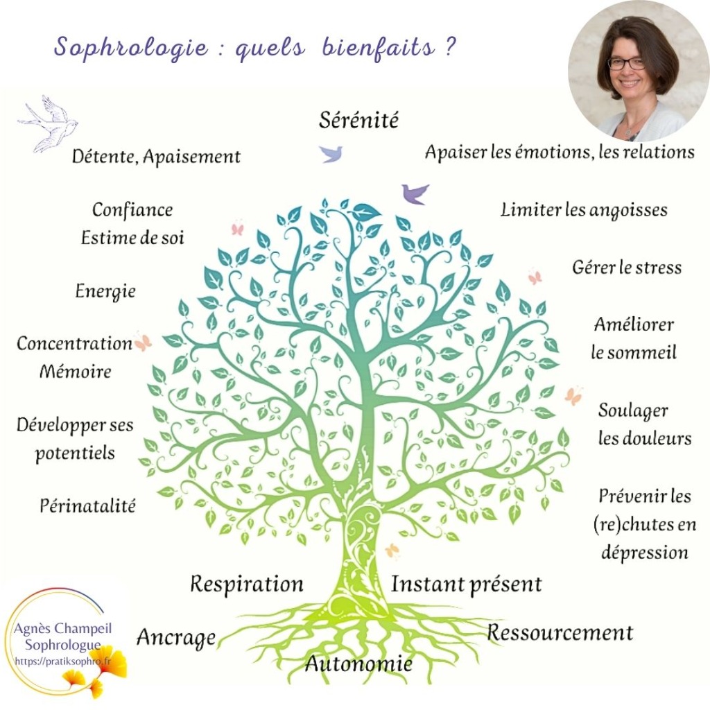 photo activite Agnès CHAMPEIL