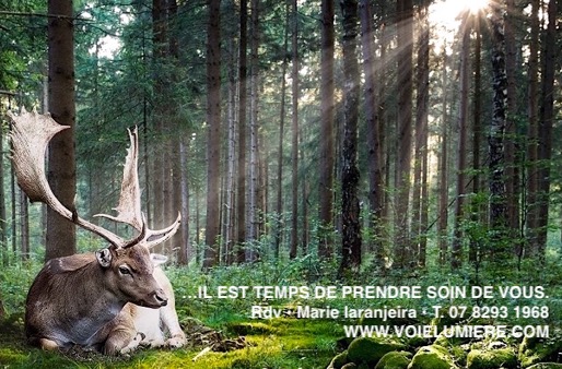 photo seance Marie Laranjeira