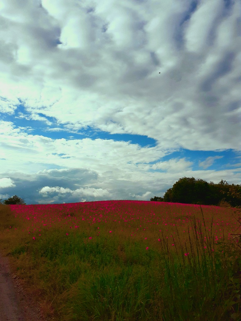 photo cabinet MANDALAS  ENERGIES