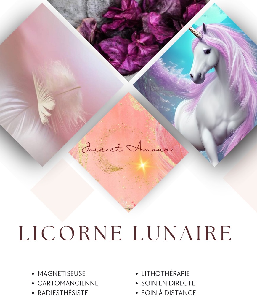 photo portrait LICORNE LUNAIRE 🦄