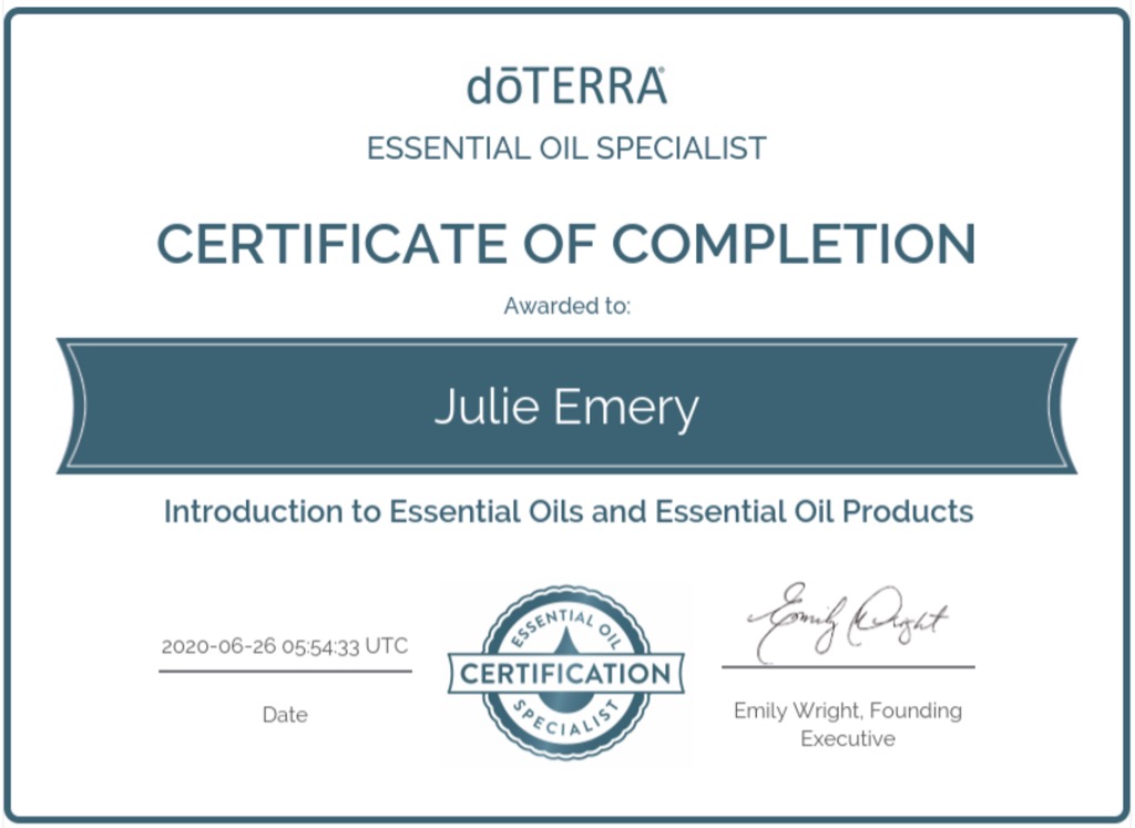 photo cabinet Julie Emery - EN-VOL.E / Les aventures de Julie