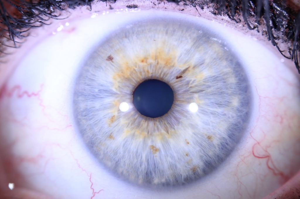 photo seance GIACOMINO Nelly