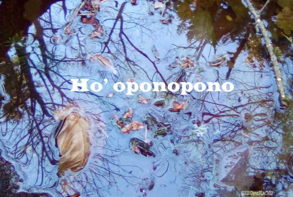 photo diplome FLACHER David