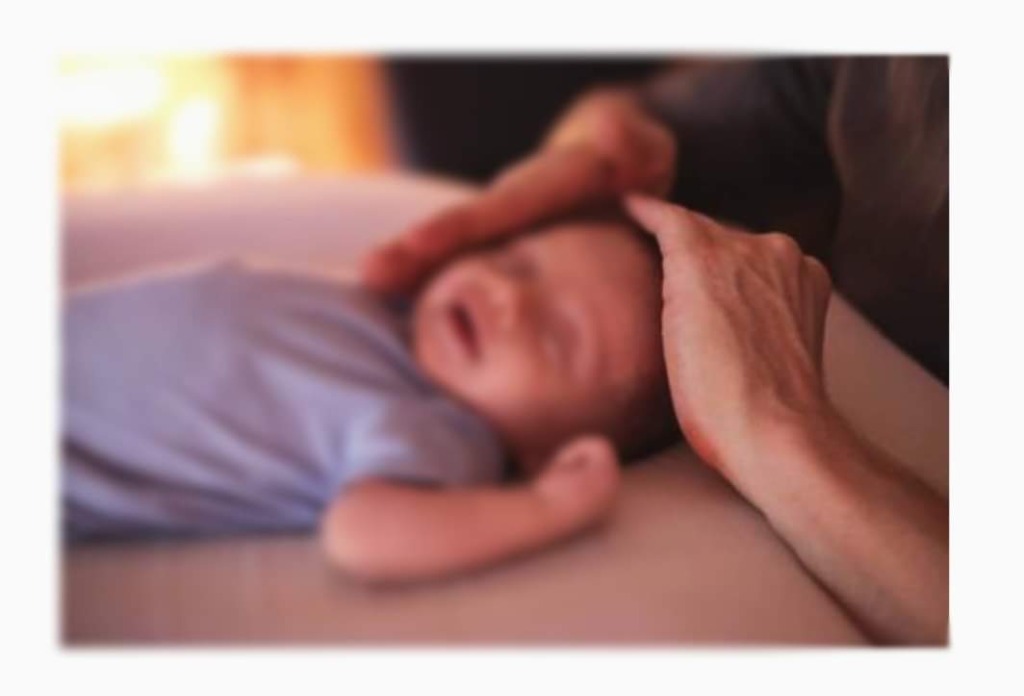 photo activite Natur’Ailes