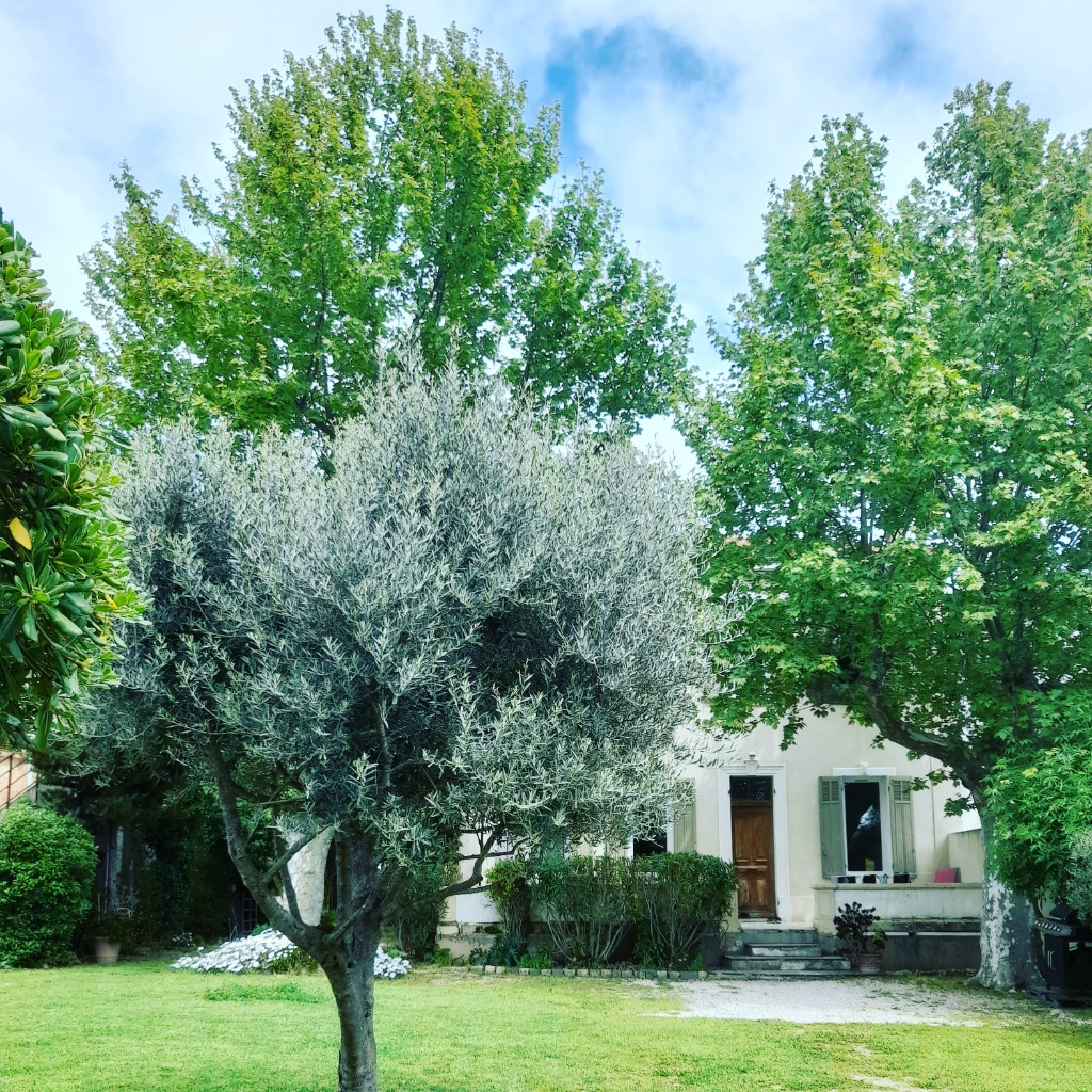 photo activite Duvernet