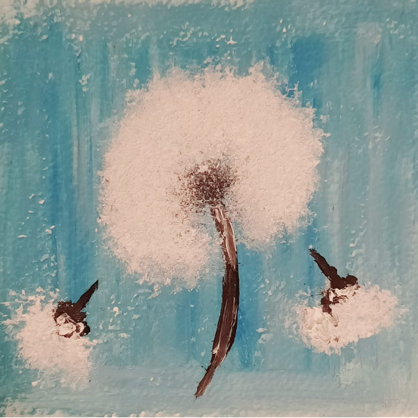 Pierre Ferreira Naturotutos