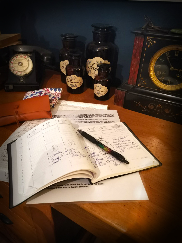 photo activite Wilfried Jod EsprHy