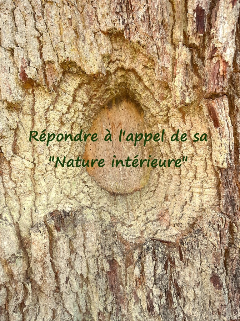 photo activite Anne-Bénédicte TOUSSAINT DE QUIEVRECOURT