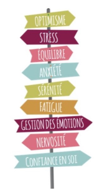 photo activite Despouys Sylviane 