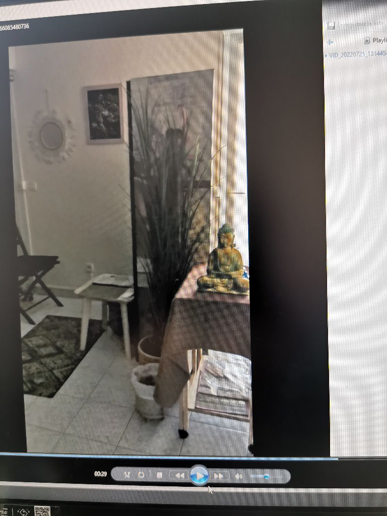 photo cabinet E fée main