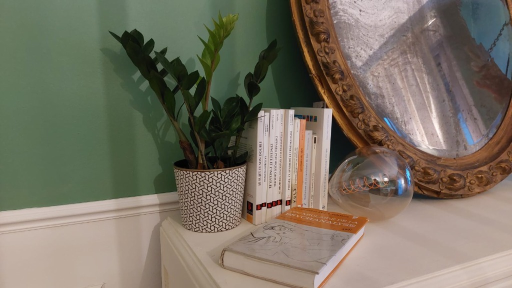 photo cabinet Anais Djefaflia