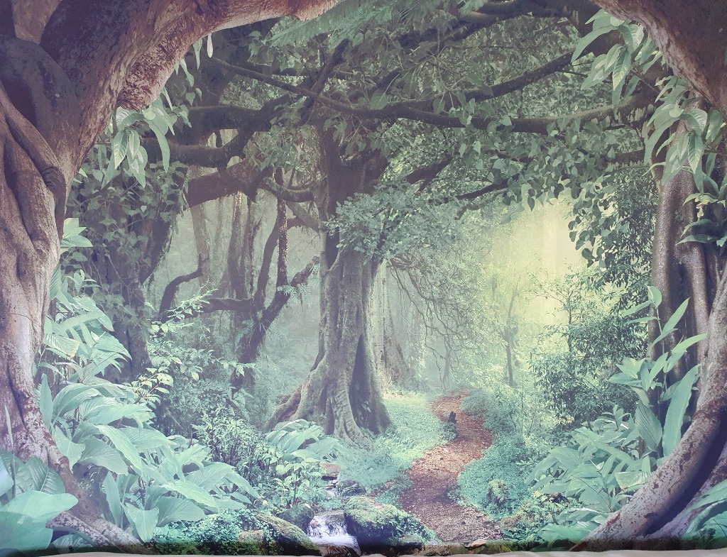 photo portrait Silvia Vedrines 