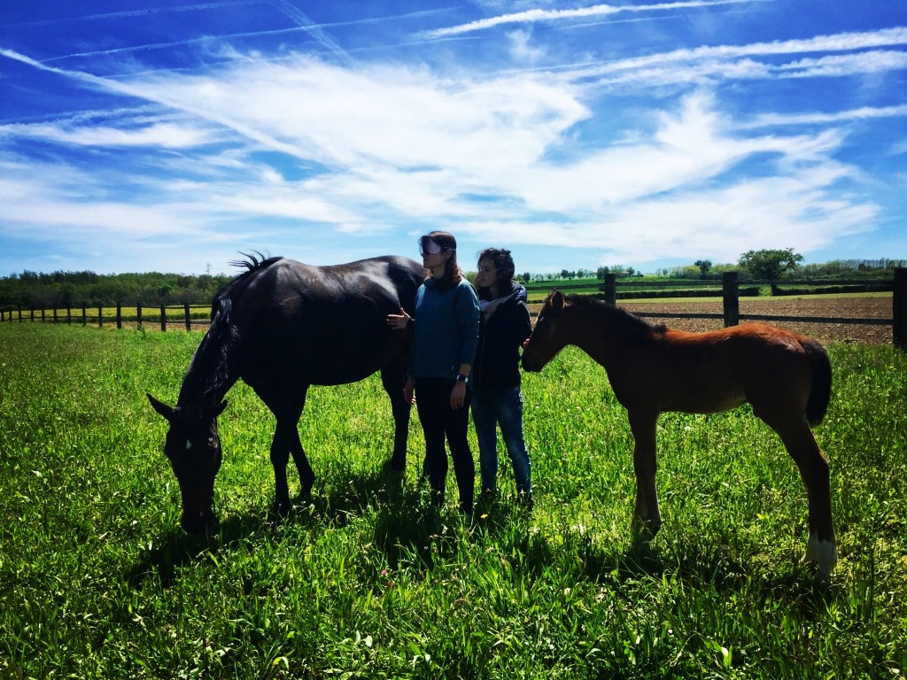 photo activite Jodie Perold