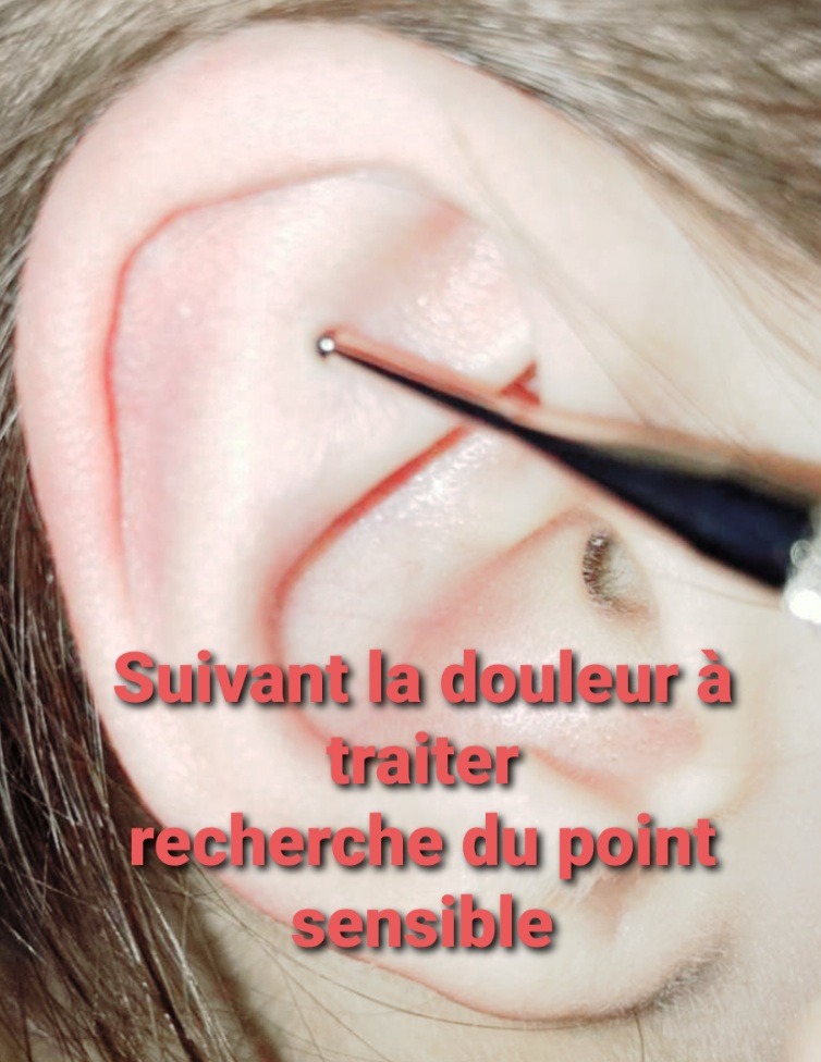 photo seance Patricia Amistani