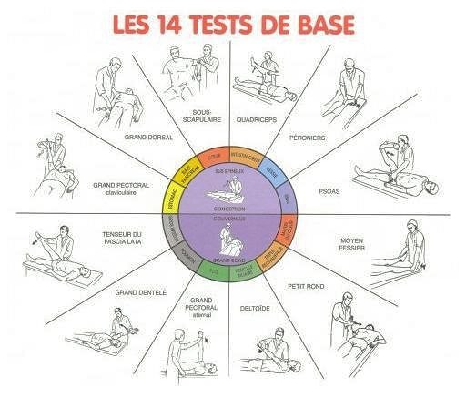 photo cabinet Patricia Pralong Sophrologue - Kinésiologue