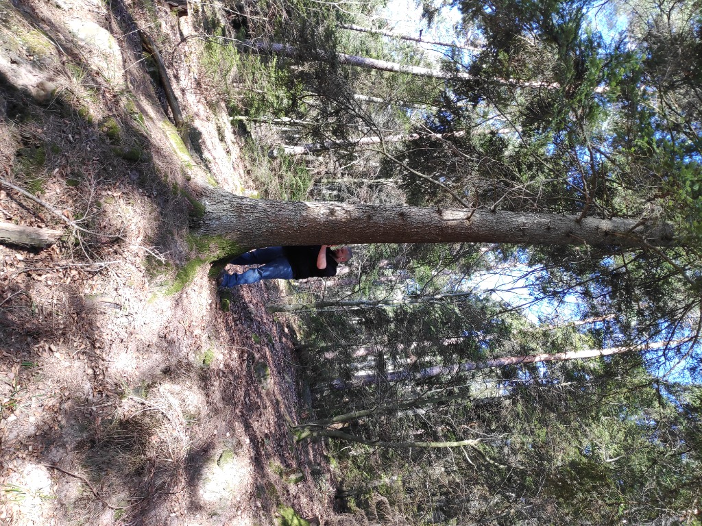 photo activite N'Ergétique