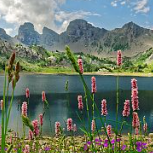 Agathe Bidan Sophrologue