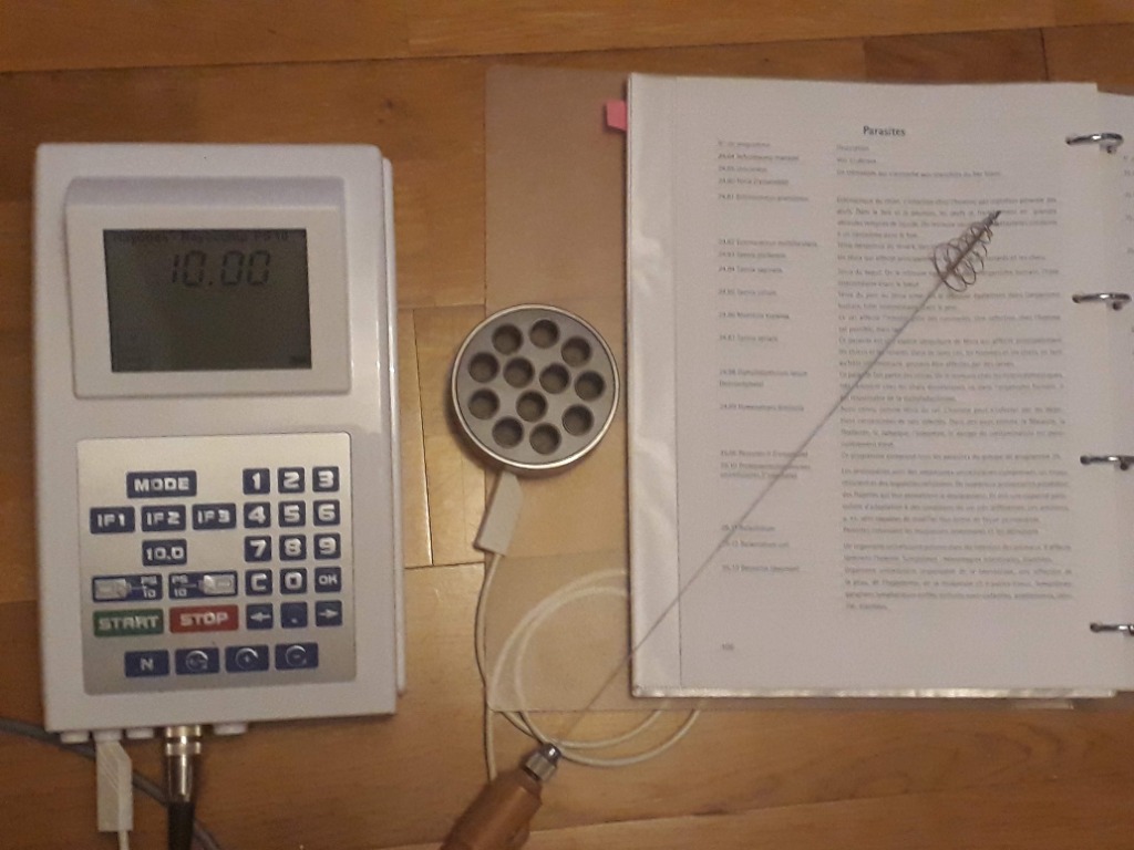 photo activite Julia MARTIN