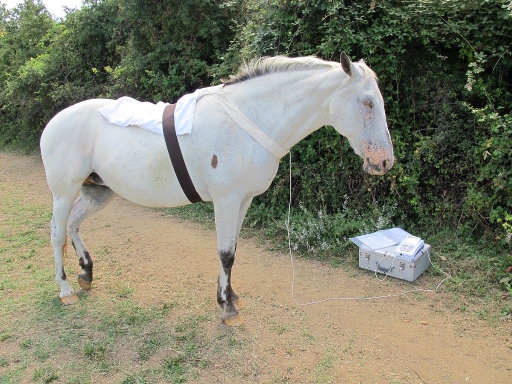 photo seance Julia MARTIN