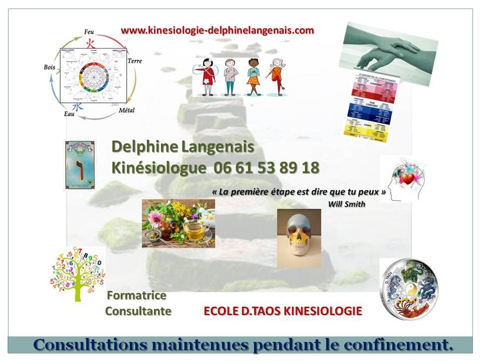 photo activite delphine langenais