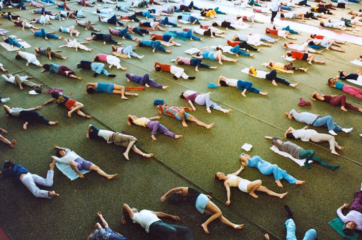 photo activite David Vivarès