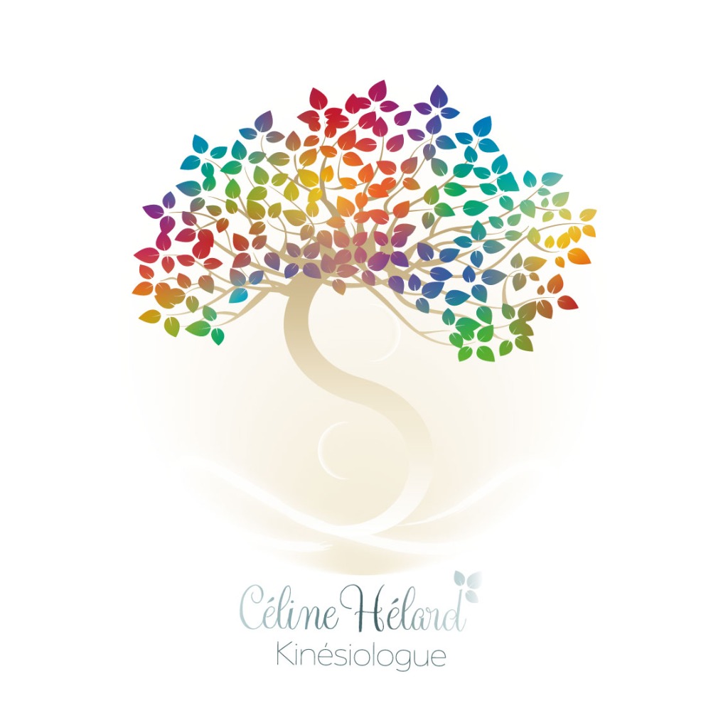 photo activite Céline Hélard 