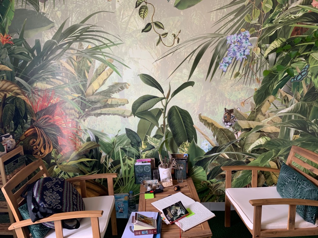 photo cabinet MONIER LAURENT