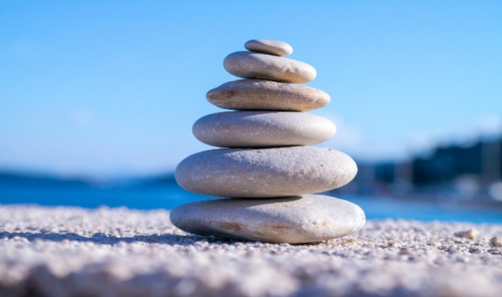 photo activite Elisabeth Lemonnier