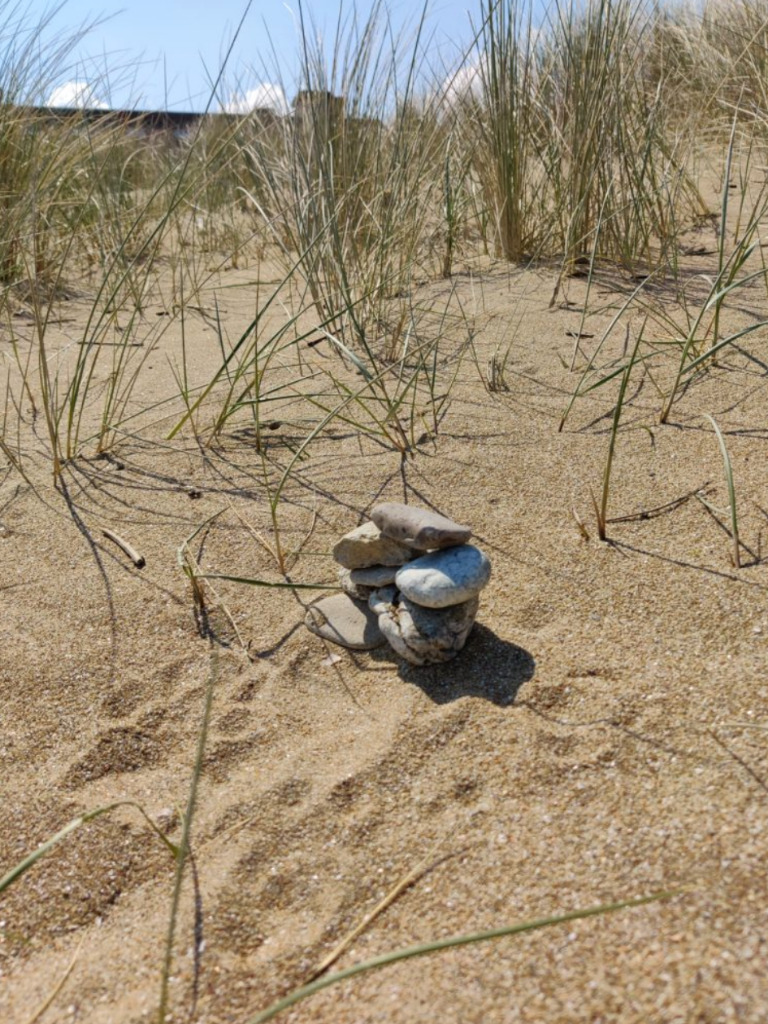 photo cabinet Elisabeth Lemonnier