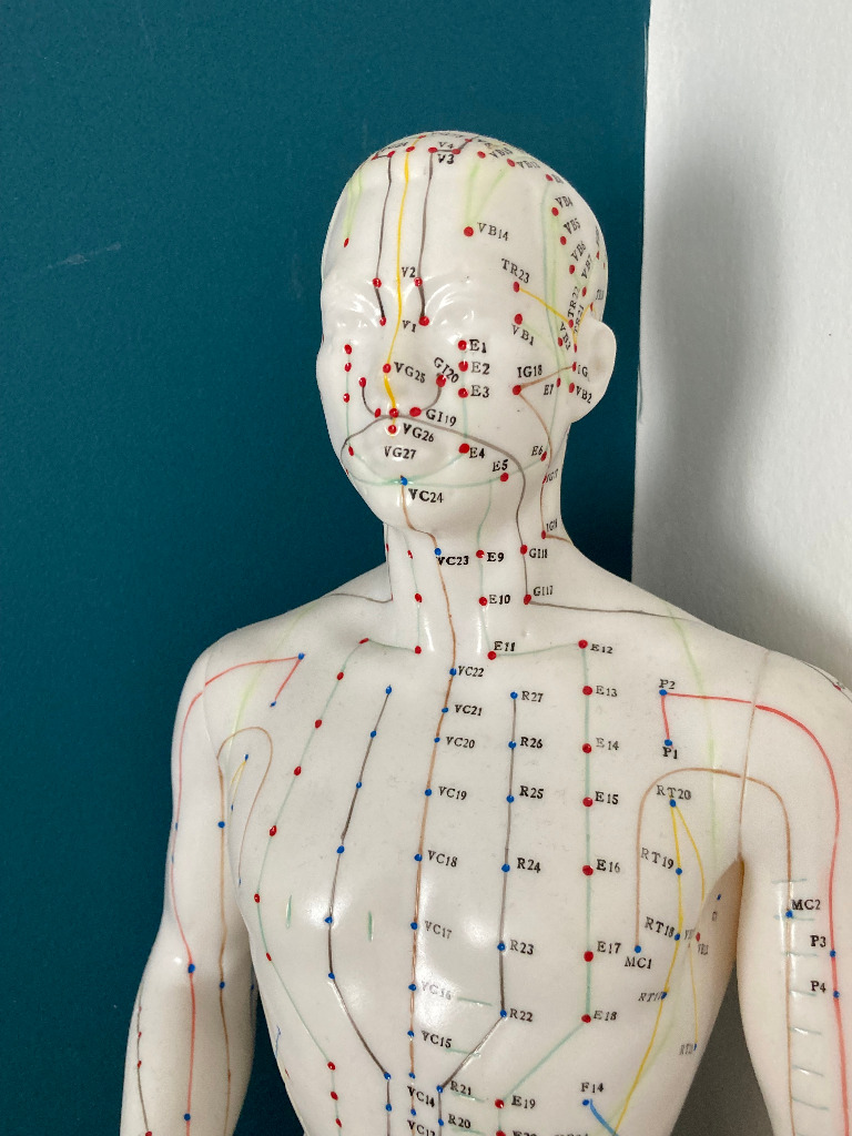 photo activite Anne Kacprzak