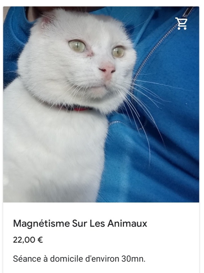 photo activite Romain Gy 