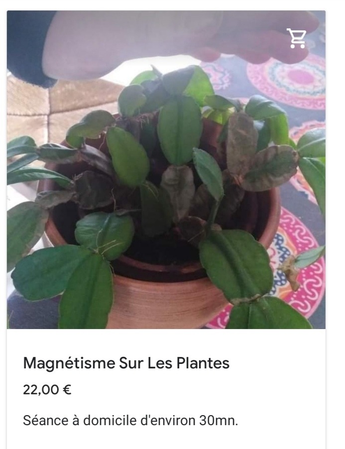 photo seance Romain Gy 