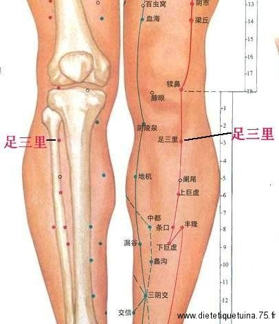 photo activite Dorothée DANIEL