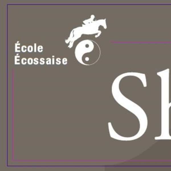 Ecole écossaise de Shiatsu pour chevaux