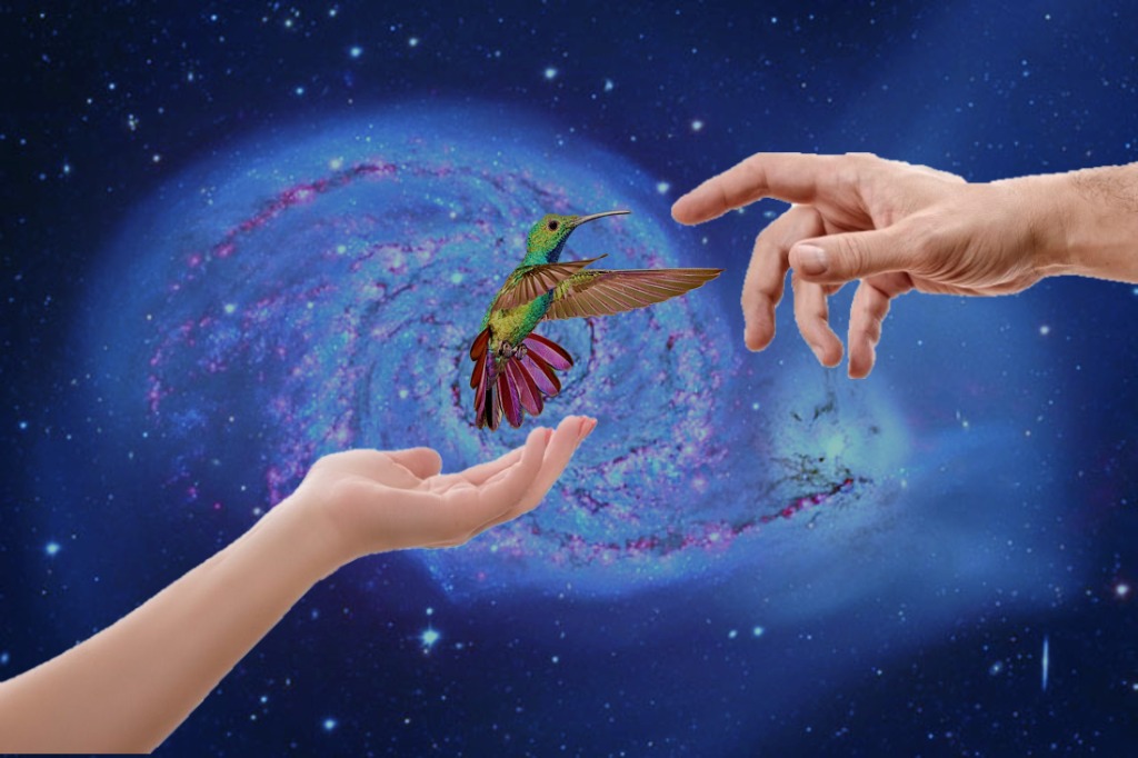 photo diplome Pierre de Garam