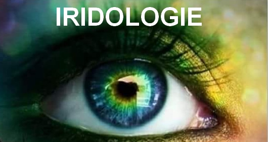 photo activite IRIS MESSAGER