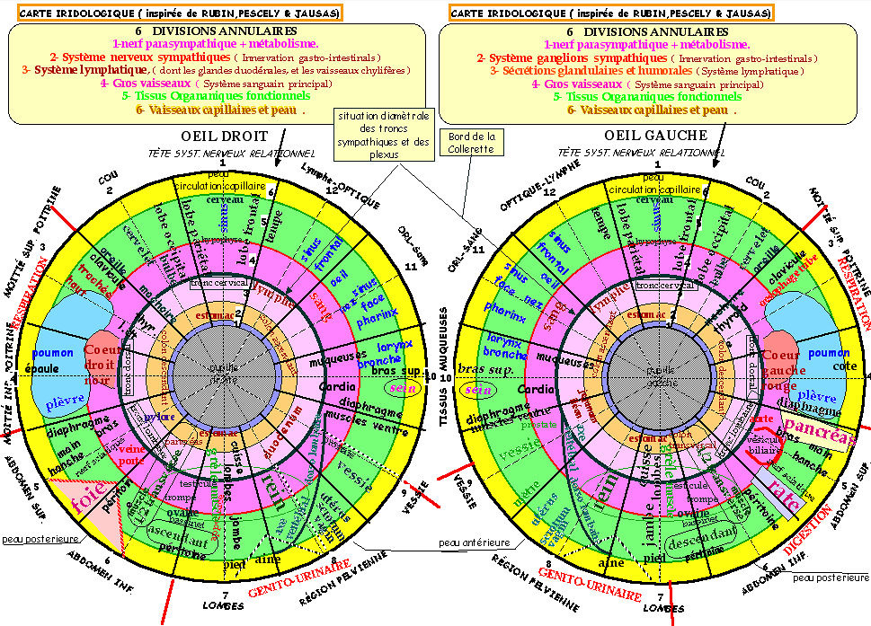 photo seance IRIS MESSAGER