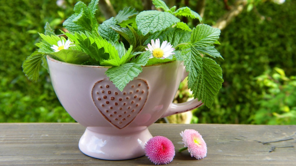 photo cabinet Coralie GUILLARD