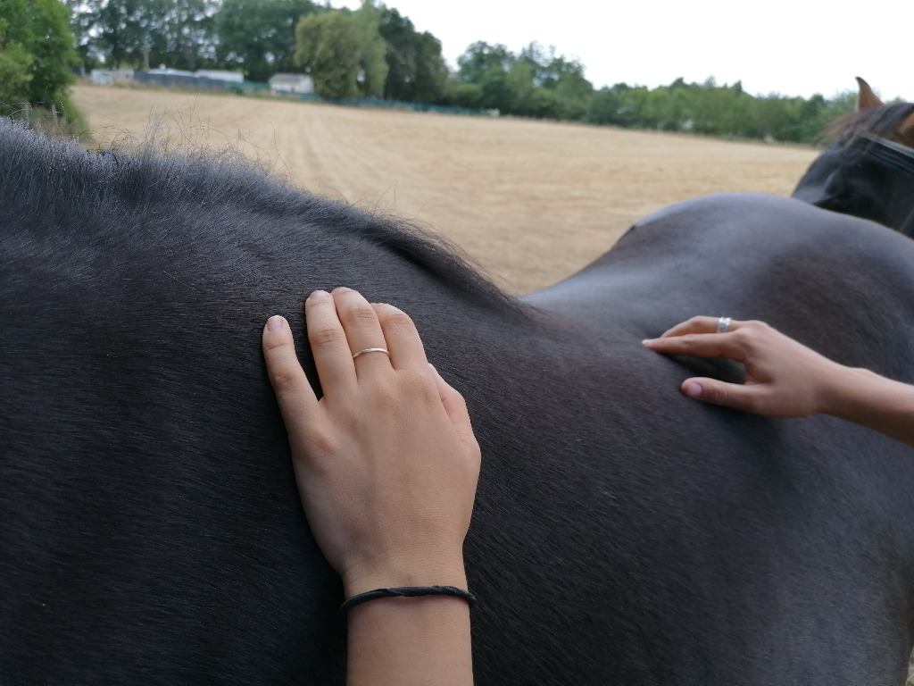 photo activite Manon Jollain 